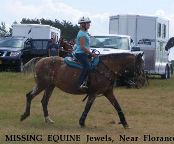 MISSING EQUINE Jewels, Near Florance, WI, 54121